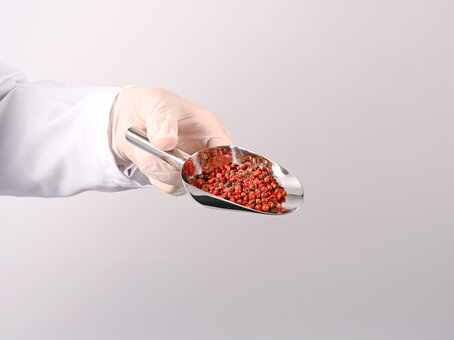 Lebensmittelschaufel aus Edelstahl FoodScoop