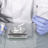 Micro spatule double carrée/arrondie, en acier inoxydable