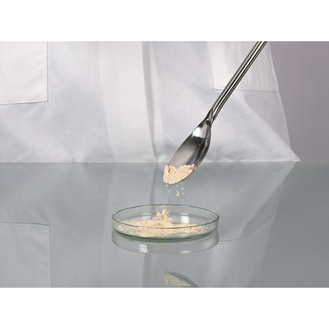 Cuillère de prélèvement en acier inoxydable