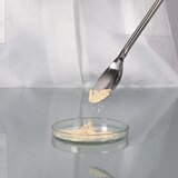 Cuillère de prélèvement en acier inoxydable